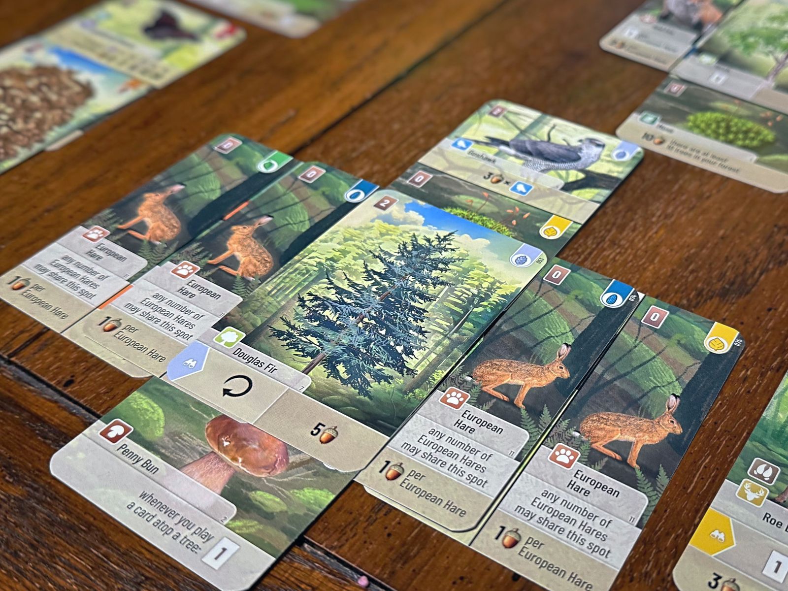 Vida na floresta Vida na floresta